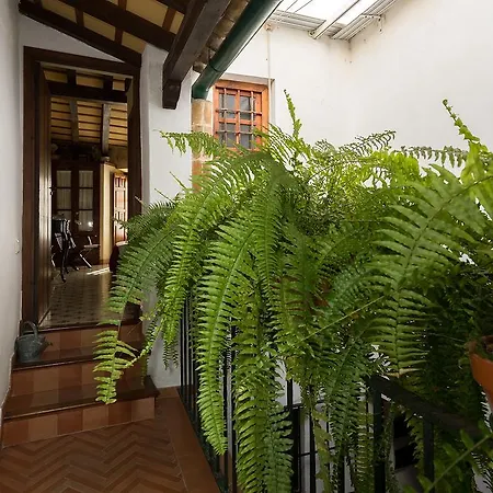 Holi-rent Historic House Next To The Alcazar アパート セビリア